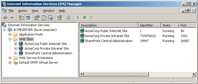 Figure 4 Two Virtual Servers for User Access
