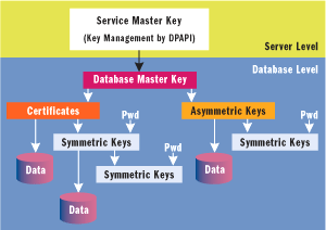 Figure 5 Encryption Hierarchy in SQL Server 2005