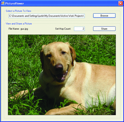 Figure 3 The PictureViewer P2P Application