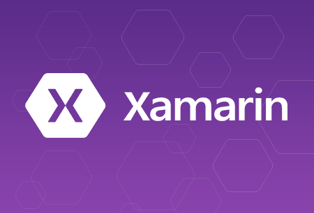 Implementing and Using Data Binding in Xamarin