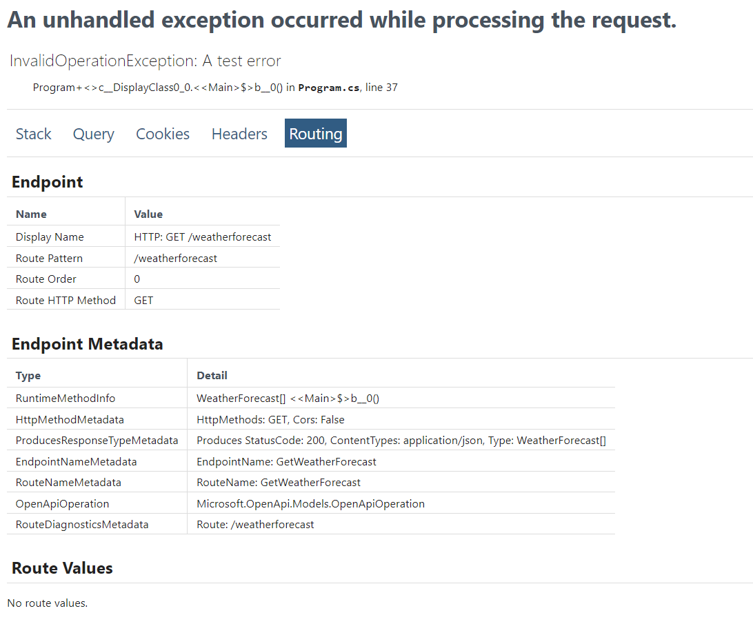 Developer exception page with Routing selected and endpoint metadata displayed