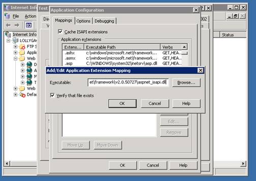 Screenshot of the Internet Information Services 6 point 0 window, which is showing the Add slash Edit Application Extension Mapping dialog box.