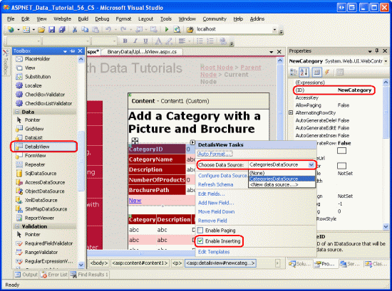 Screenshot showing DetailsView open with the CategoryID property set to NewCategory, empty Height and Width property values and the Enable Inserting checkbox selected.