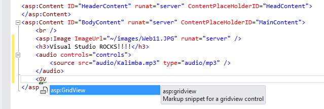 Inserting a GridView with IntelliSense lists