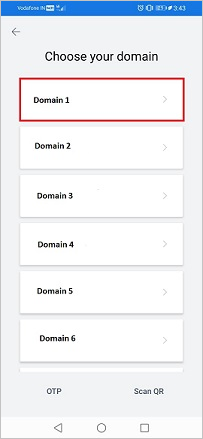 Screenshot that shows the "Choose your domain" screen with an example domain selected.