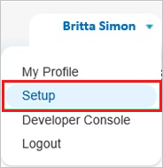Screenshot shows the Setup item for your company.