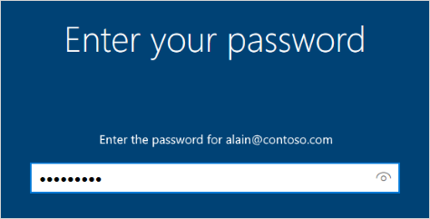Enter your password screen
