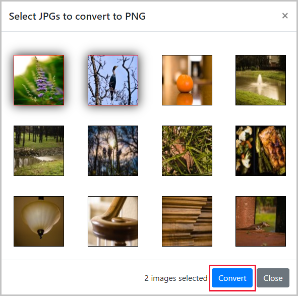 Select the first two images