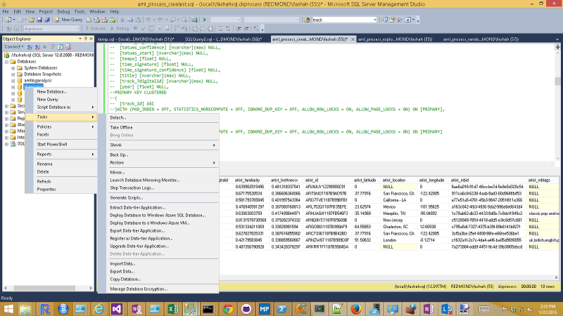 Screenshot of the SQL Server Import Tool.