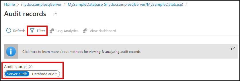 Screenshot that shows the options for viewing the audit records.