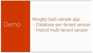 Demo of database-per-tenant and hybrid ST/MT