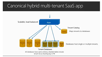 Canonical hybrid multi-tenant SaaS app