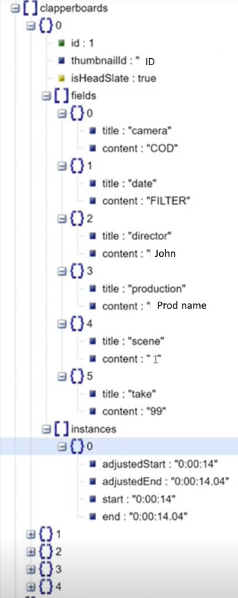 This image shows the clapperboard metadata in json.