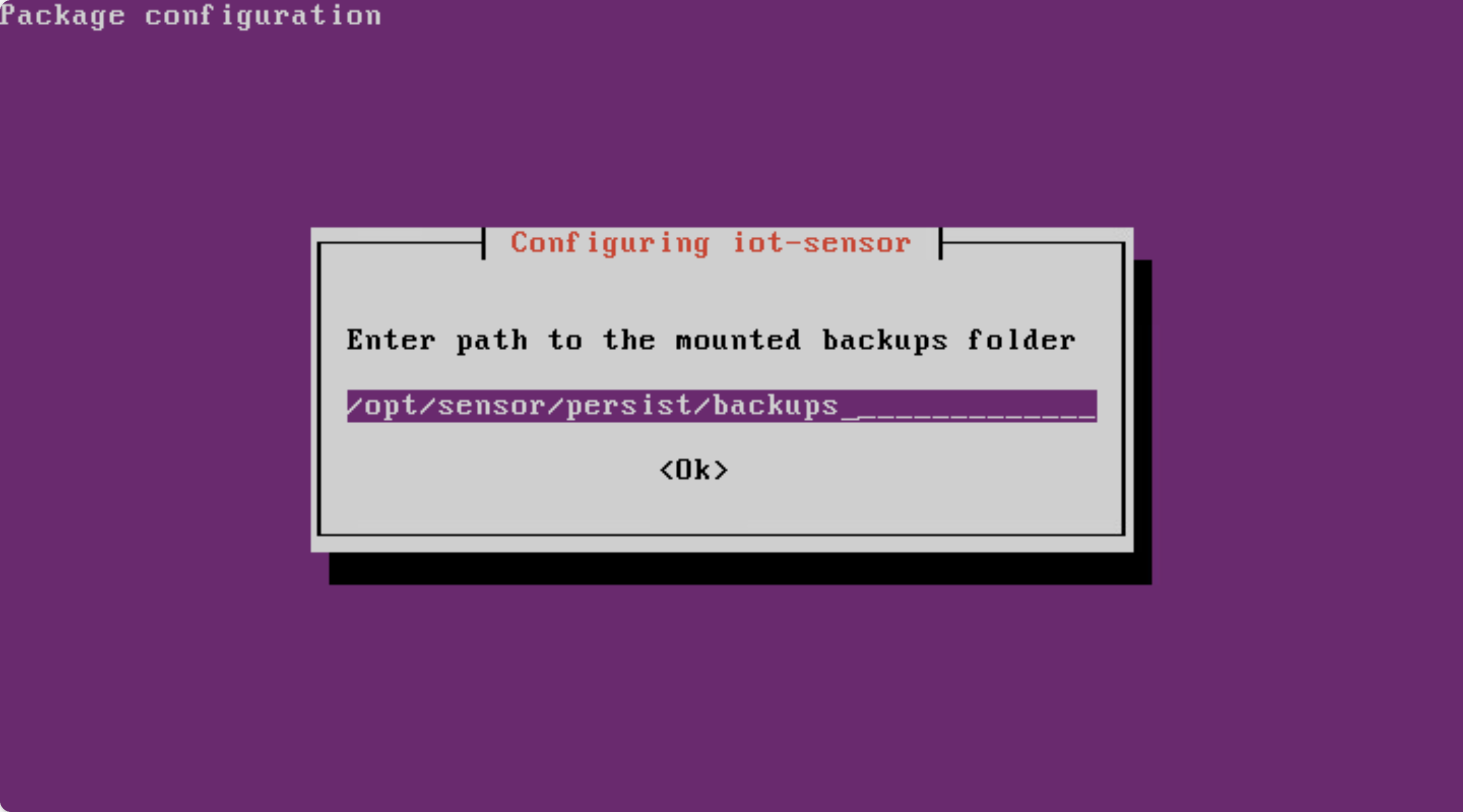 Screenshot of the mounted backups folder configuration.