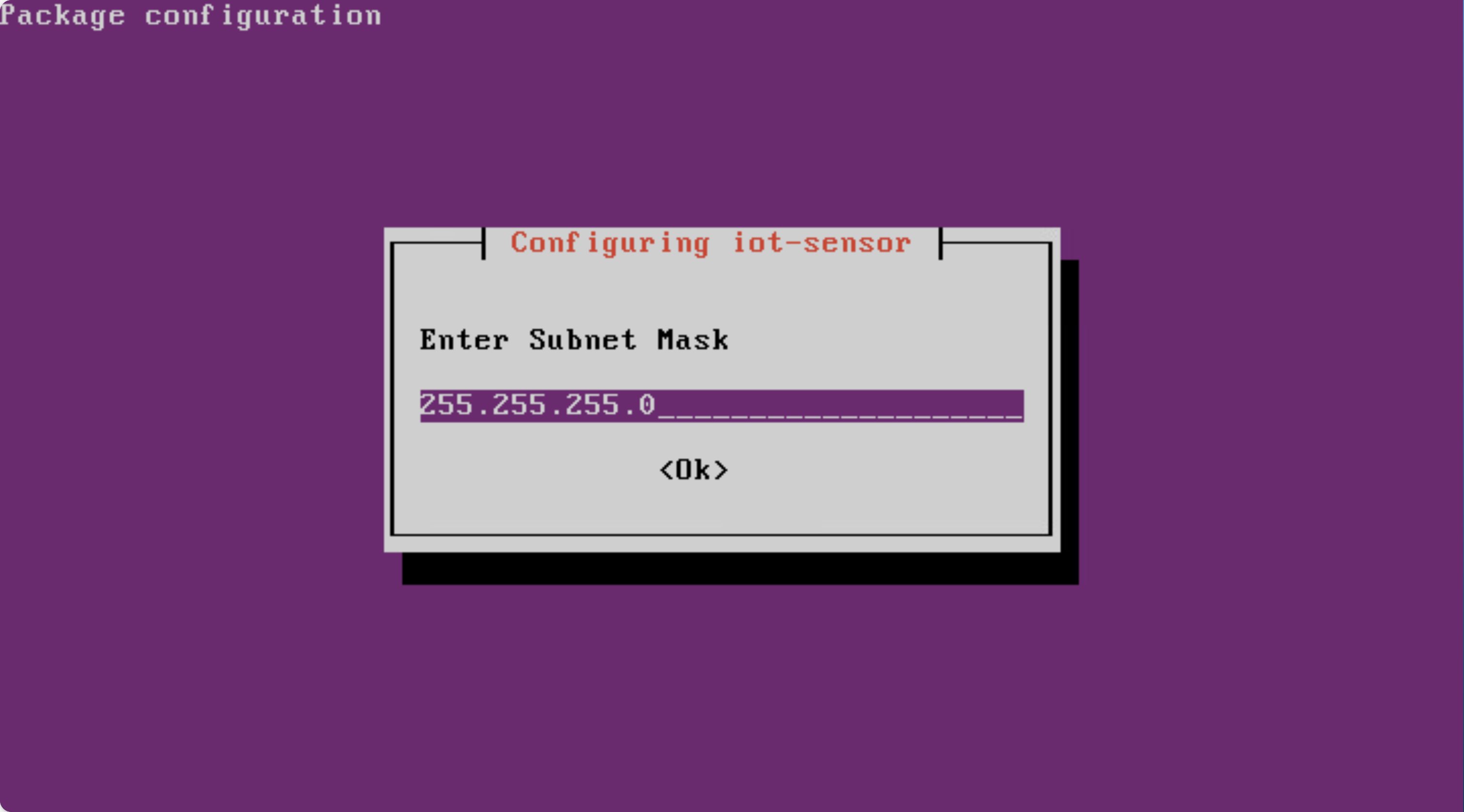 Screenshot of the Enter Subnet Mask screen.