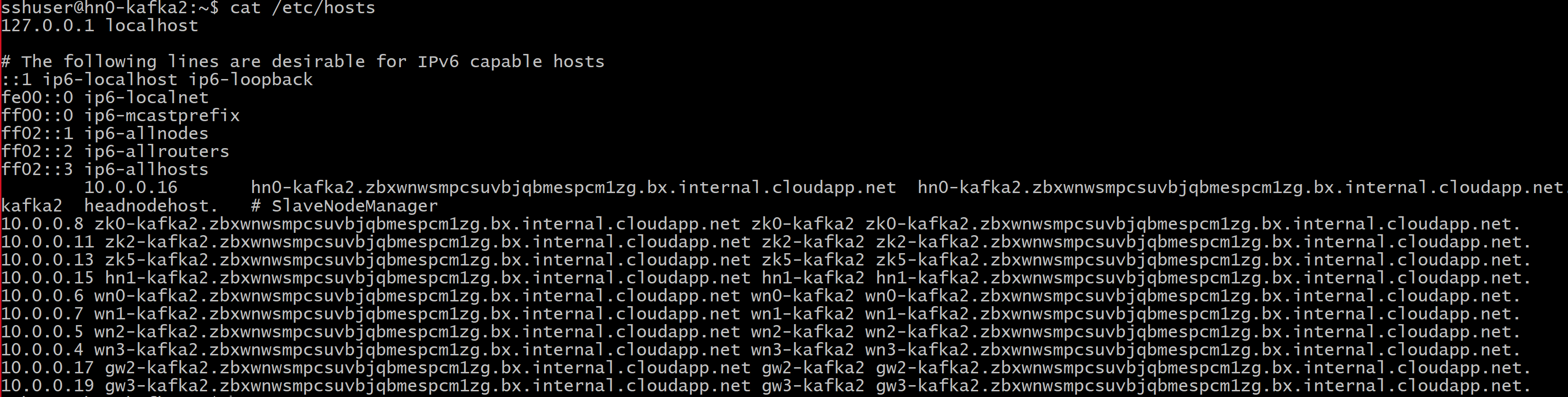 Screenshot showing host file  output.