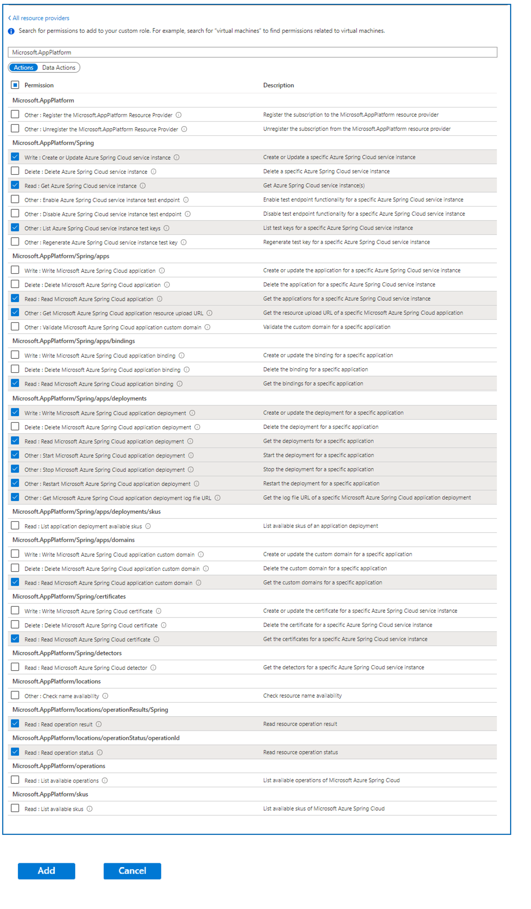 Screenshot of Azure portal that shows the selections for Developer permissions.