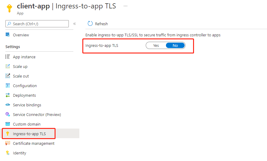 Screenshot showing where to enable Ingress-to-app TLS in portal.