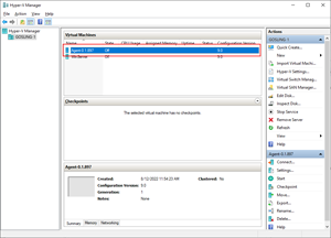 Image showing the agent VM deployed within the New Virtual Machine Wizard.
