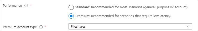 A screenshot of the performance radio button with premium selected and account kind with FileStorage selected.