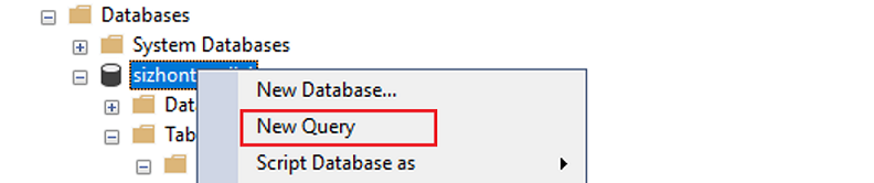 Select your database and create a new query.