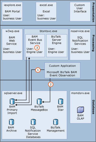 Image that shows the process for custom data insertion.