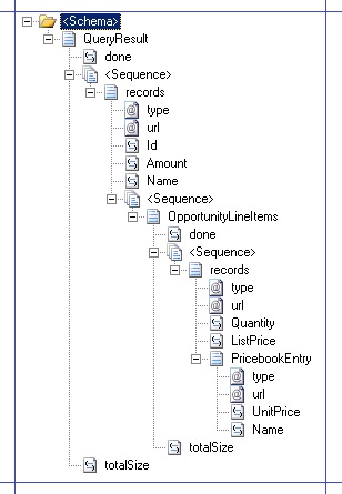 Schema for query response from Salesforce