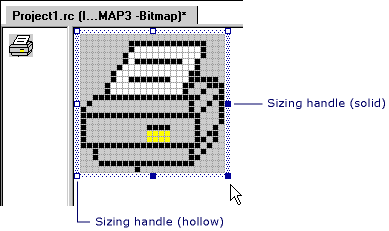 Sizing handles on a bitmap.
