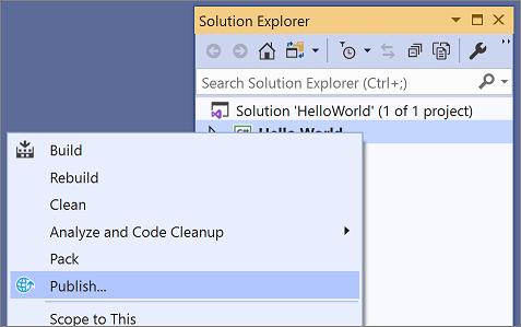 Visual Studio Publish context menu