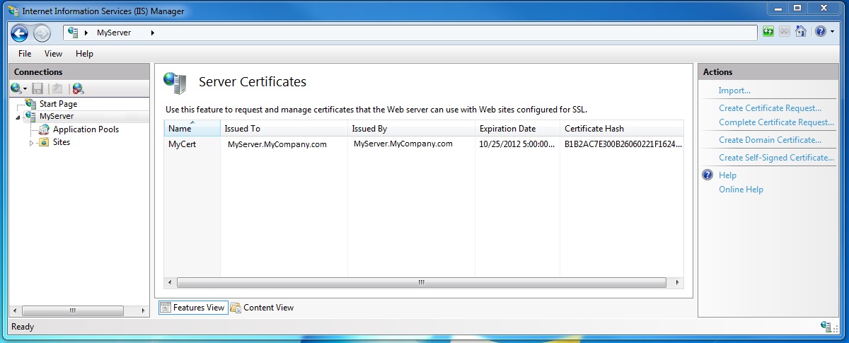 Server Certificate Window