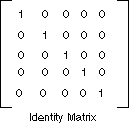 Screenshot of a 5x5 identity matrix for color transformation.