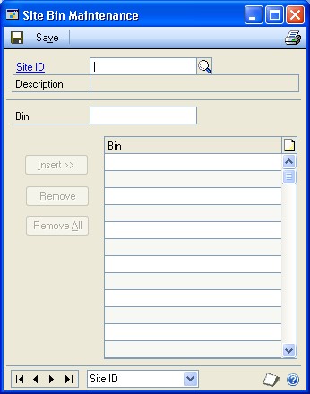 Screenshot that shows the Site Bin Maintenance window.