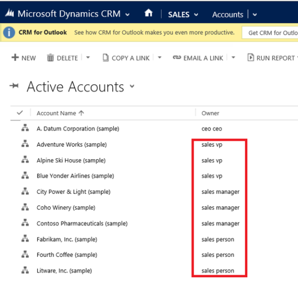 Read access for VP of Sales in Dynamics 365 for Customer Engagement.