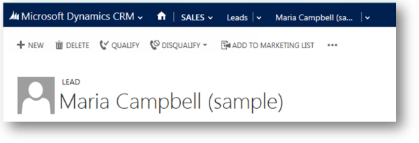 Placeholder image for Lead entity form in Dynamics 365 for Customer Engagement.