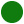 Image of a circle filled with green meaning Organization.