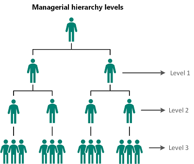Understand managerial hierarchy levels