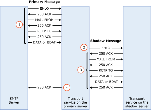 Shadow message creation