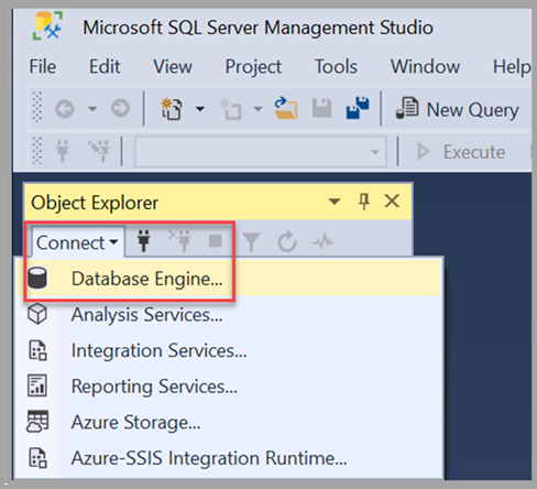 Screenshot showing where to select Database Engine on the Connect menu.