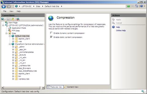 Screenshot of the I I S Manager showing the Compression dialog in the main pane.