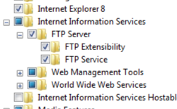 Screenshot of Internet Information Services and F T P Server node expanded showing F T P Extensibility and F T P Service both selected.