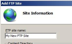 Screenshot that shows the Site Information page for the Add F T P Site dialog box.