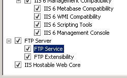 Screenshot of F T P Server expanded in Select Role Services page of the Add Role Services Wizard displaying F T P Service selected.