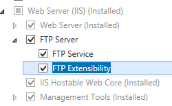 Screenshot of F T P Server and Web Server I I S pane expanded and F T P Extensibility selected.