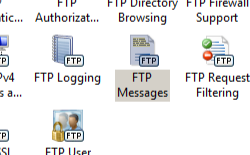 Screenshot shows Home pane with F T P Messages feature selected.