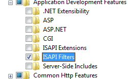 Screenshot shows World Wide Web Services and Application Development Features pane expanded with I S A P I Filters selected.