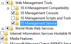 Screenshot of Web Management Tools node expanded and I I S Management Service highlighted.