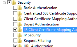 Screenshot of World Wide Web Services and Security pane expanded and I I S Client Certificate Mapping Authentication selected.