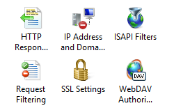 Screenshot that shows the I P Address and Domain Restrictions icon.