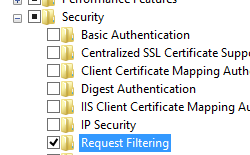 Screenshot of World Wide Web Services and Security pane showing Request Filtering highlighted.