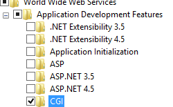 Screenshot shows the Internet Information Services highlighting the C G I checkbox.